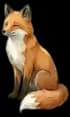 Yü le renard